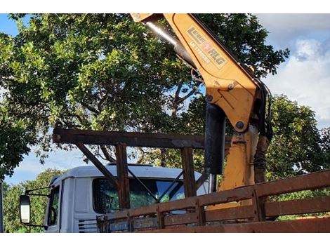 Caminhão Munck para Montagens em Palmas